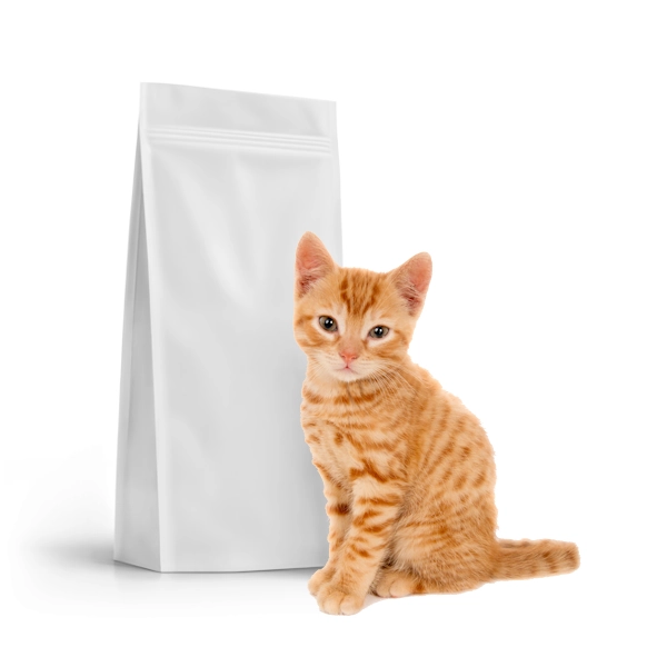 Cat Food