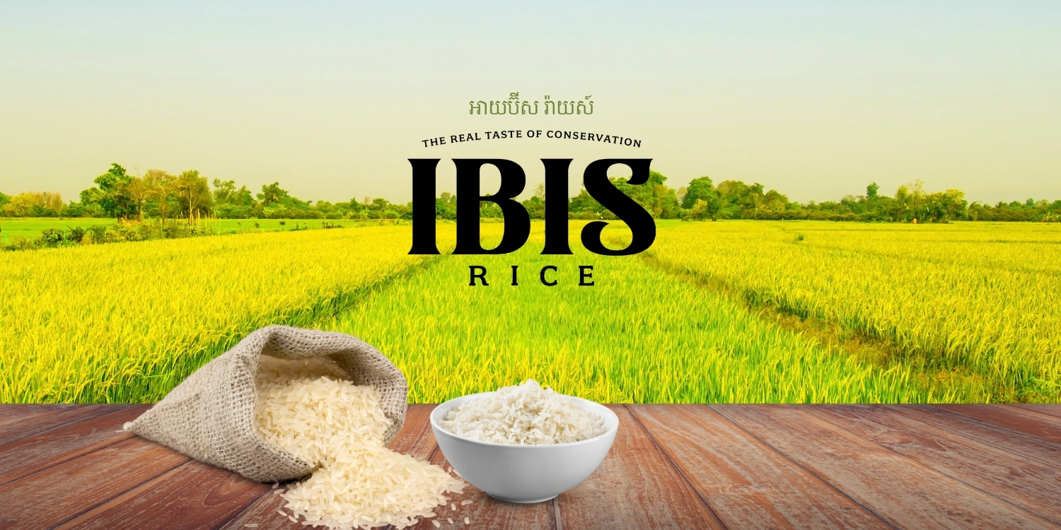 Ibis Rice
