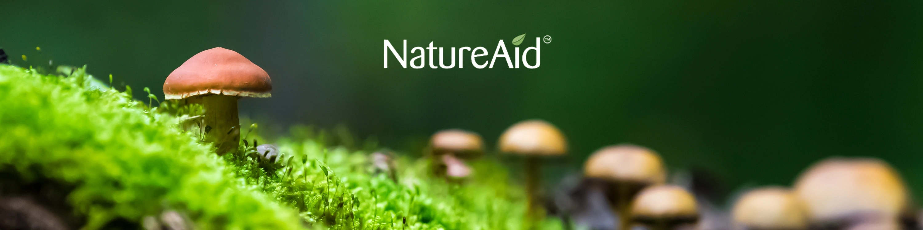 NatureAid
