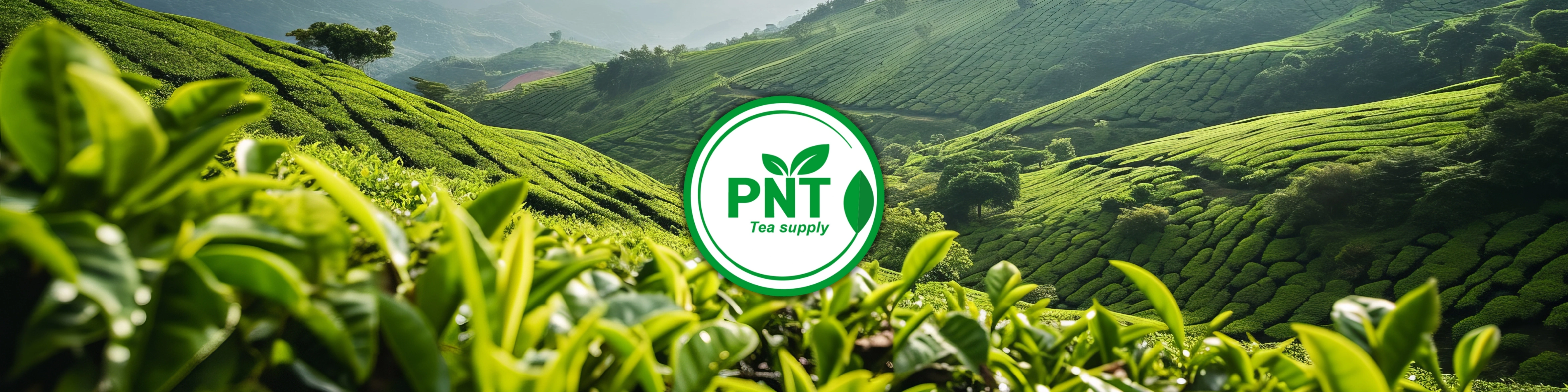 Pech Natural Tea
