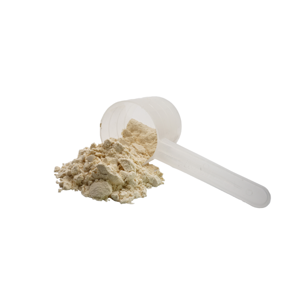 Protein