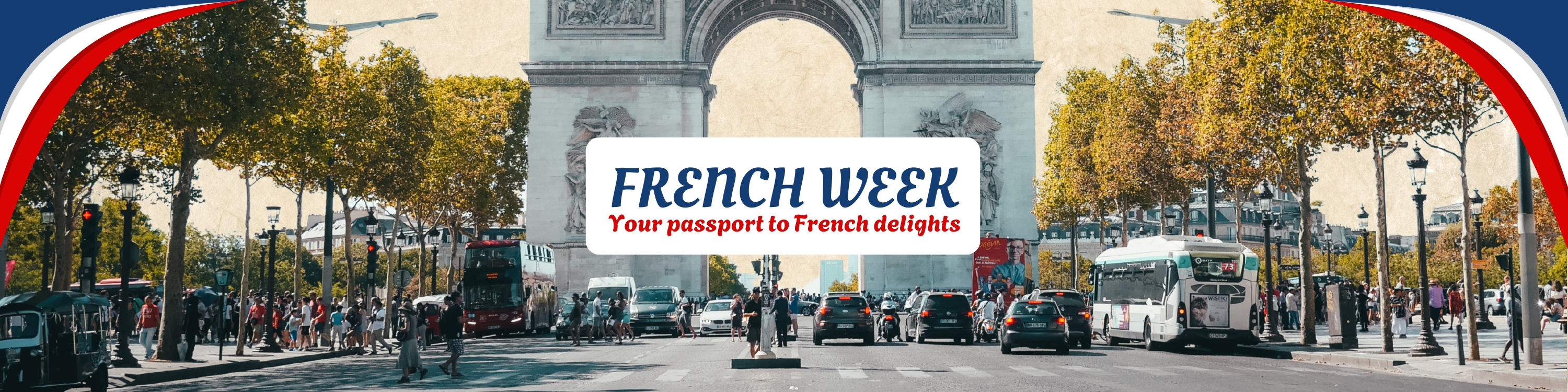 Flavors of France: A Culinary Journey