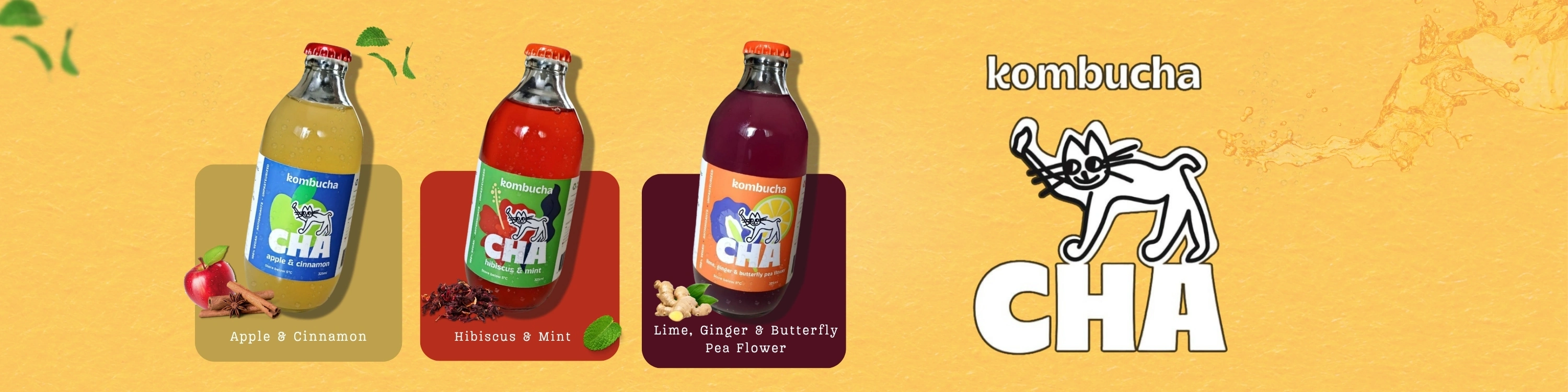 Kombucha CHA