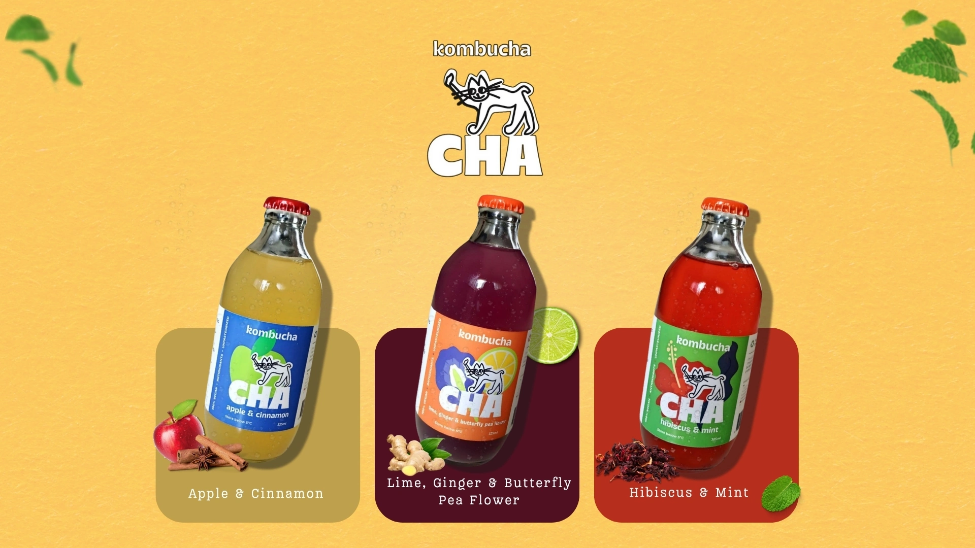 Kombucha CHA