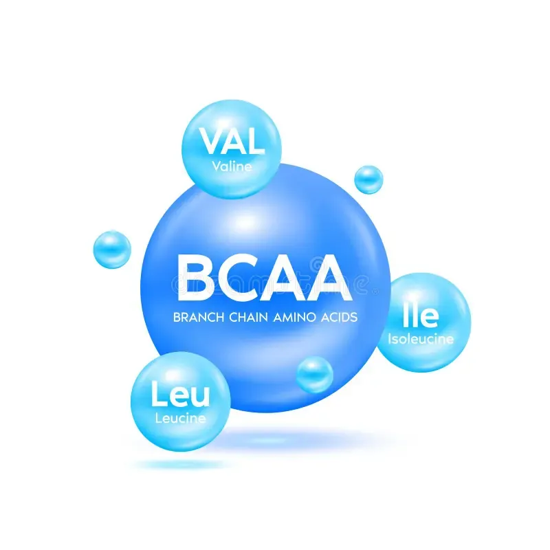 BCAA, Amino, Testo..